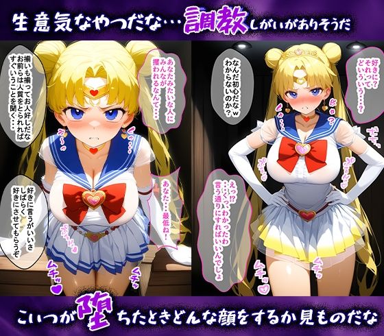調教ヒロインズ 〜 セーラームーン編