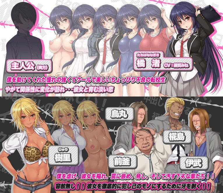 ケンカが強くてクールで強気の不良彼女が弱い僕を庇って汚されます