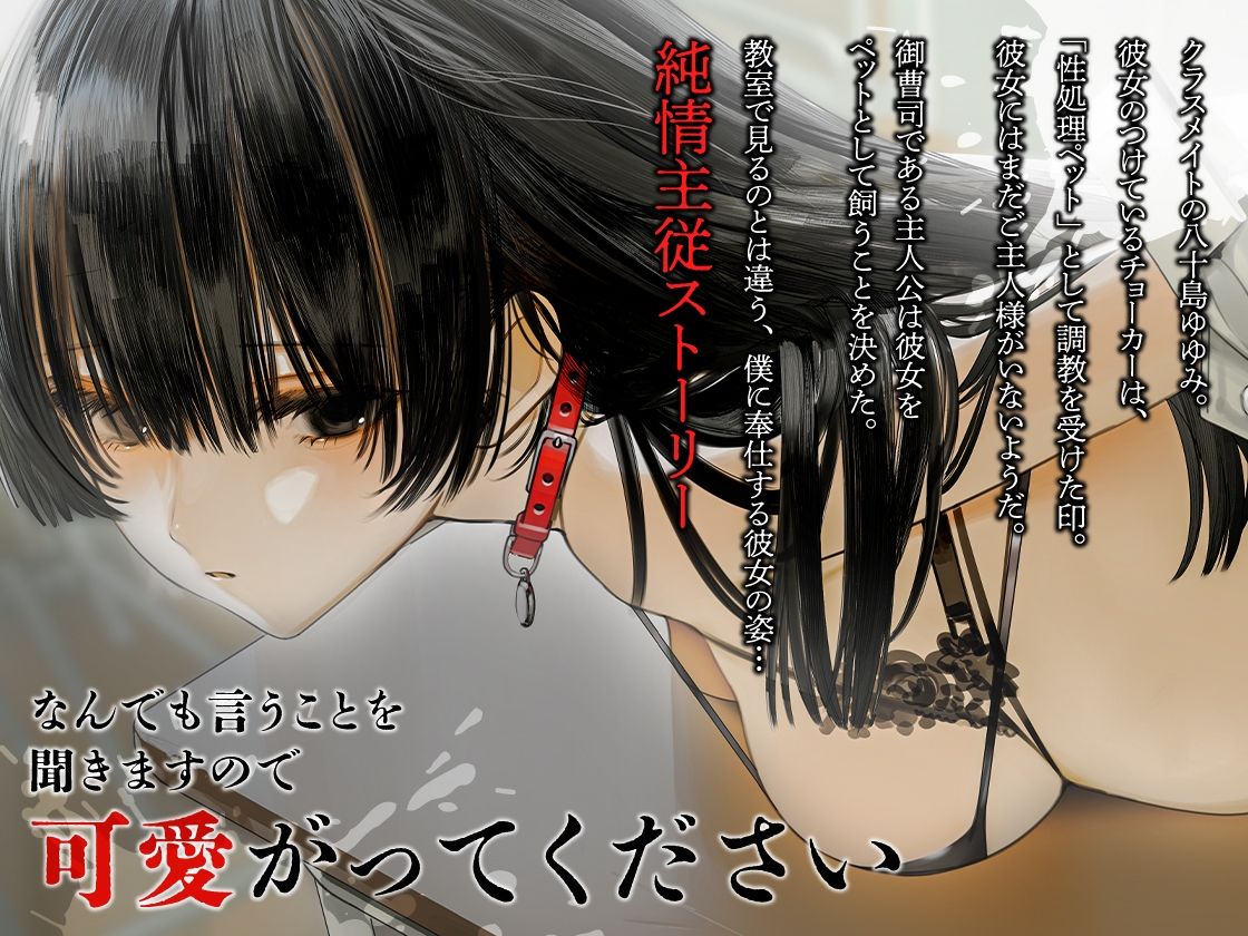 従順美少女 〜カノジョが僕のペットになったワケ【KU100】