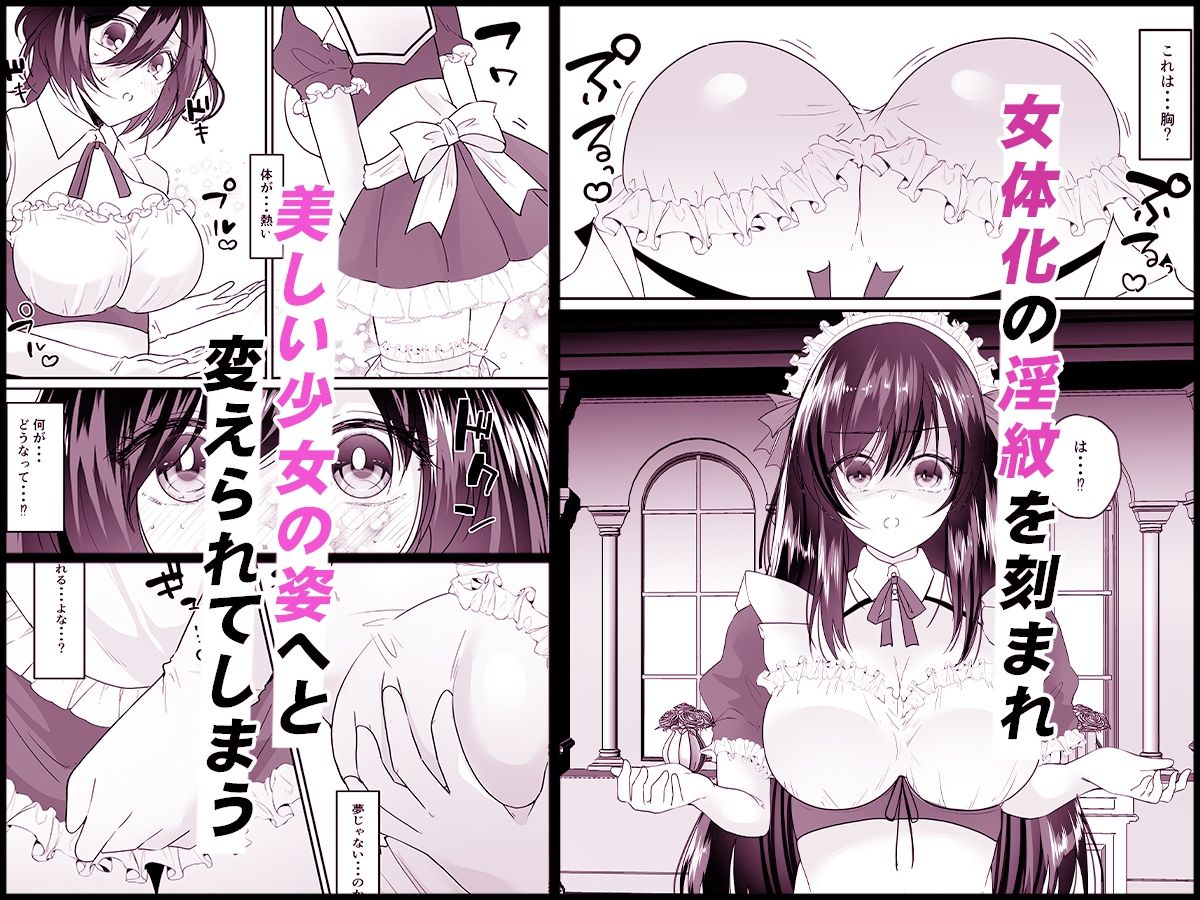 TSご奉仕メイド 〜悪徳領主の監査に来たのに女体化されて性処理メイドにされました〜