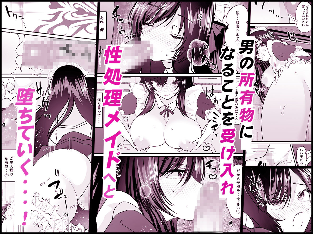 TSご奉仕メイド 〜悪徳領主の監査に来たのに女体化されて性処理メイドにされました〜