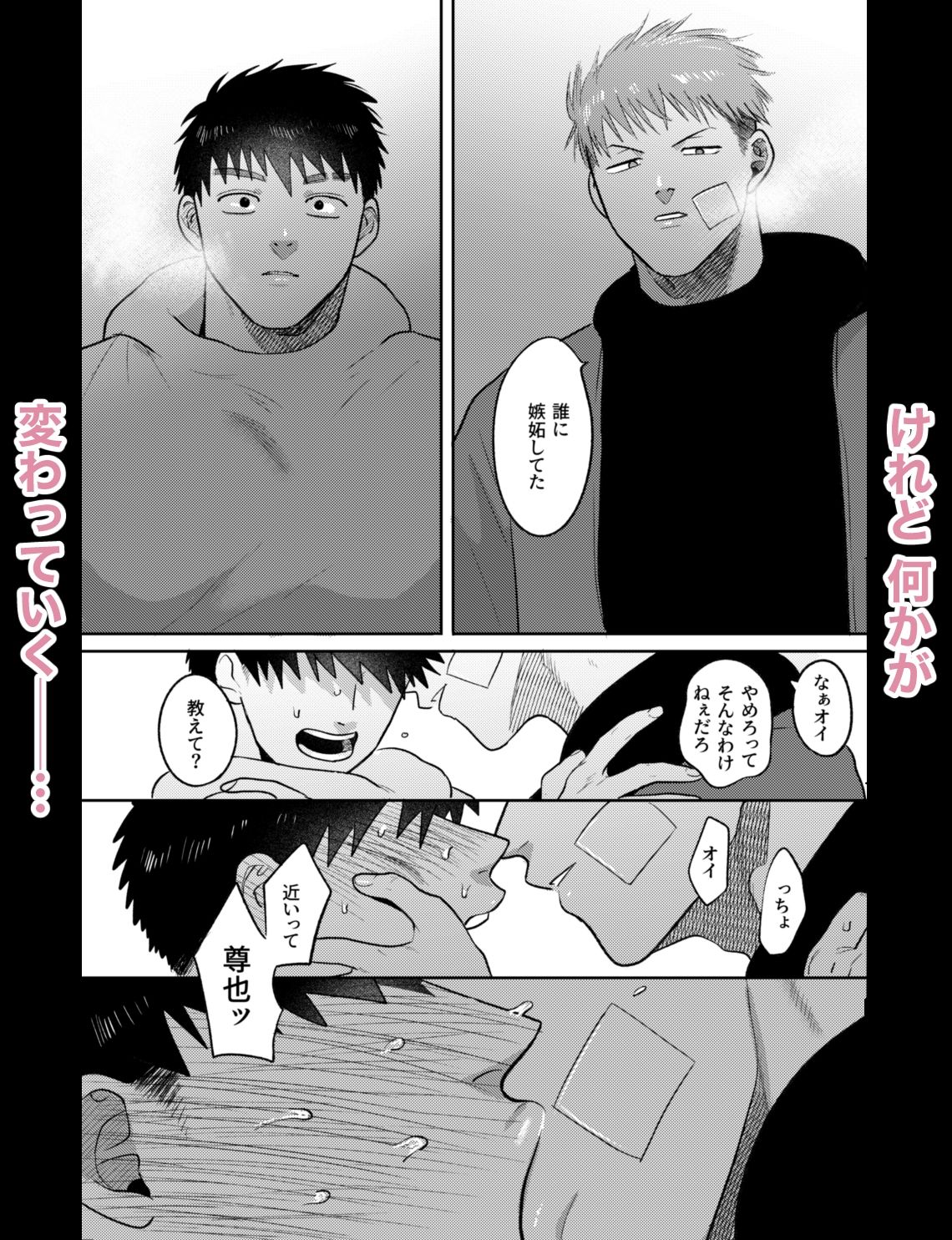 妹の代わりはもうやめる