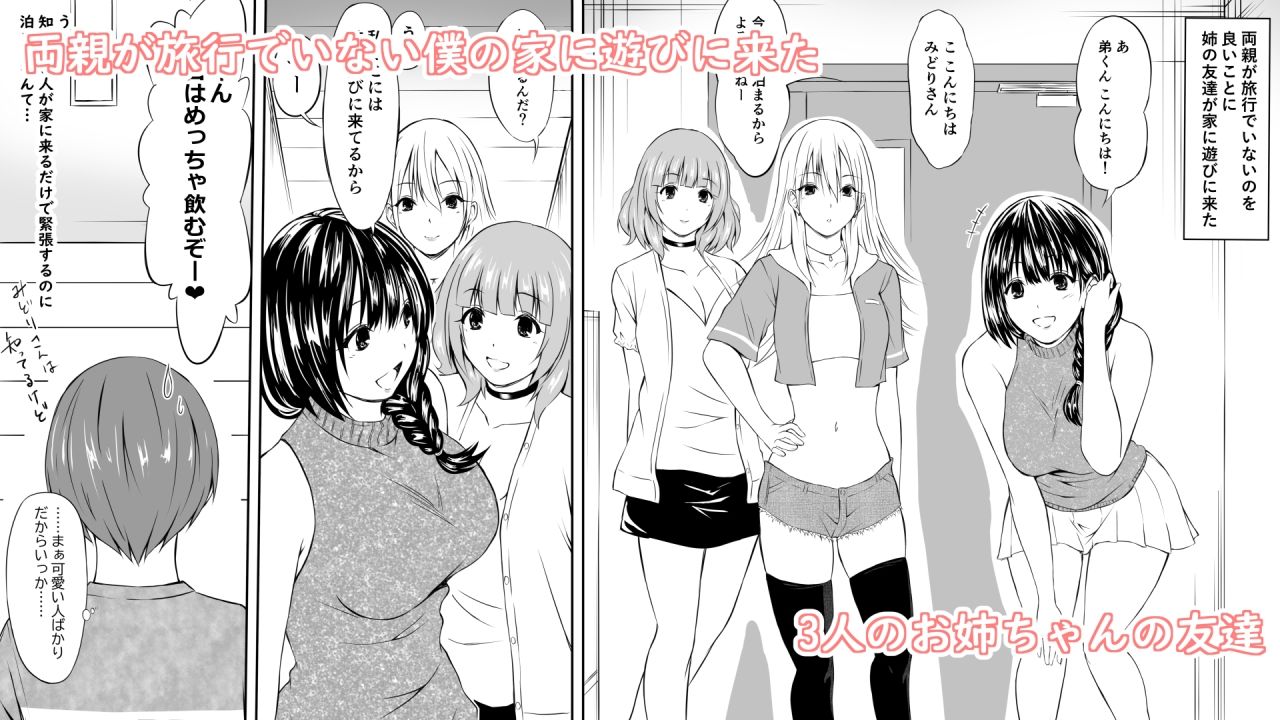 お姉ちゃんの友達が酔っ払って倒れていたから勝手に挿入してみた話