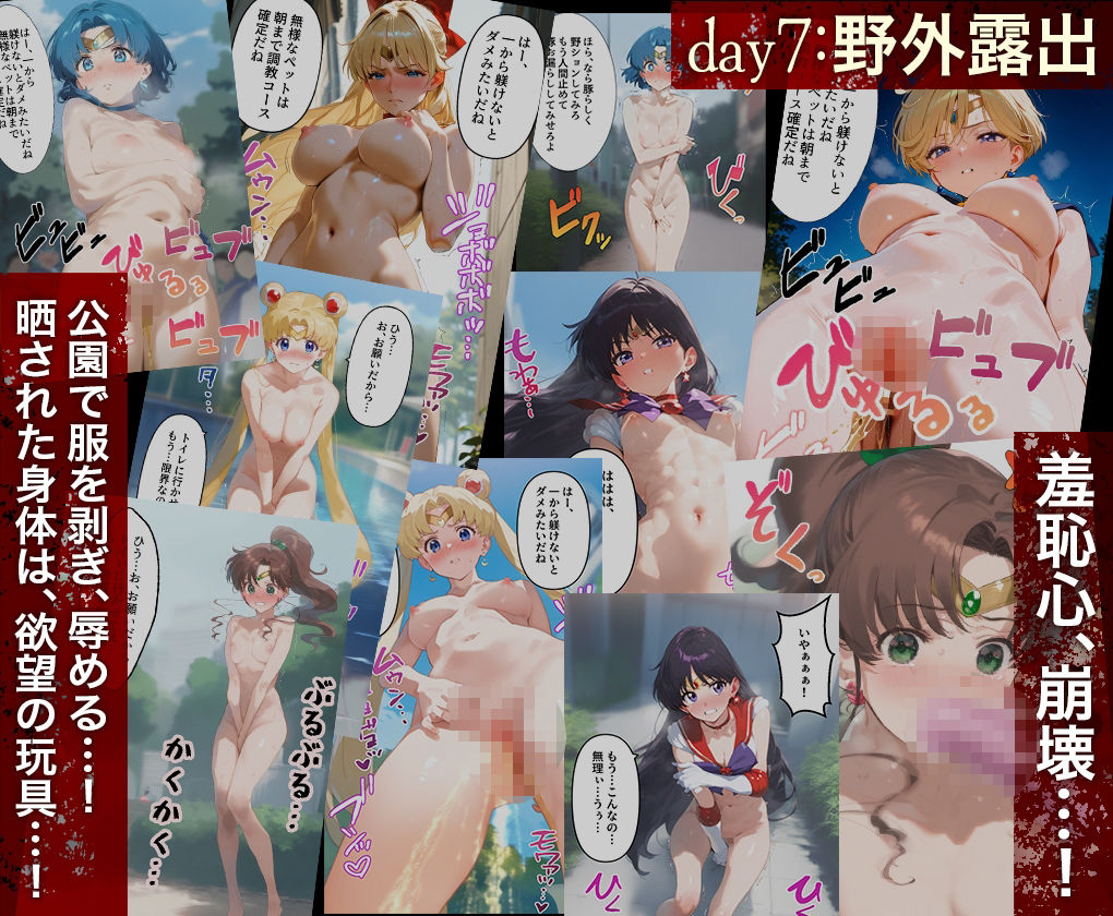 堕チルまでの9days_ セーラー戦士総集編