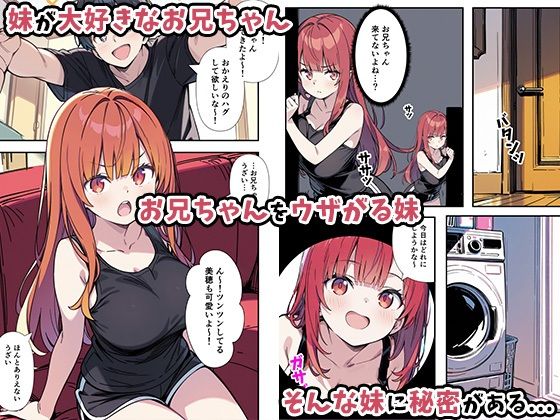 性欲ムンムンツンデレ妹が俺のパンツでオナニーしてたので我慢出来ず膣内出しした話