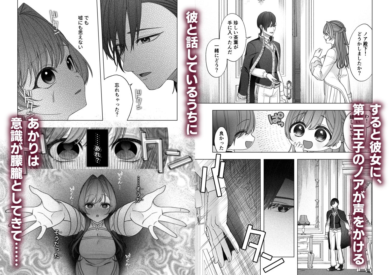 王子兄弟にいちゃらぶ？催○えっちで堕とされた聖女は