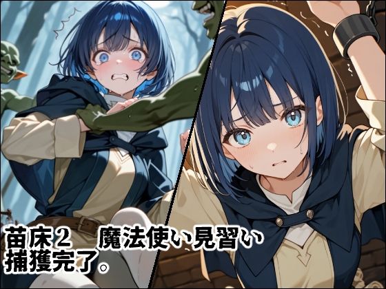 苗床捕獲 初クエストでゴブリンの大群に持ち帰られる少女たち