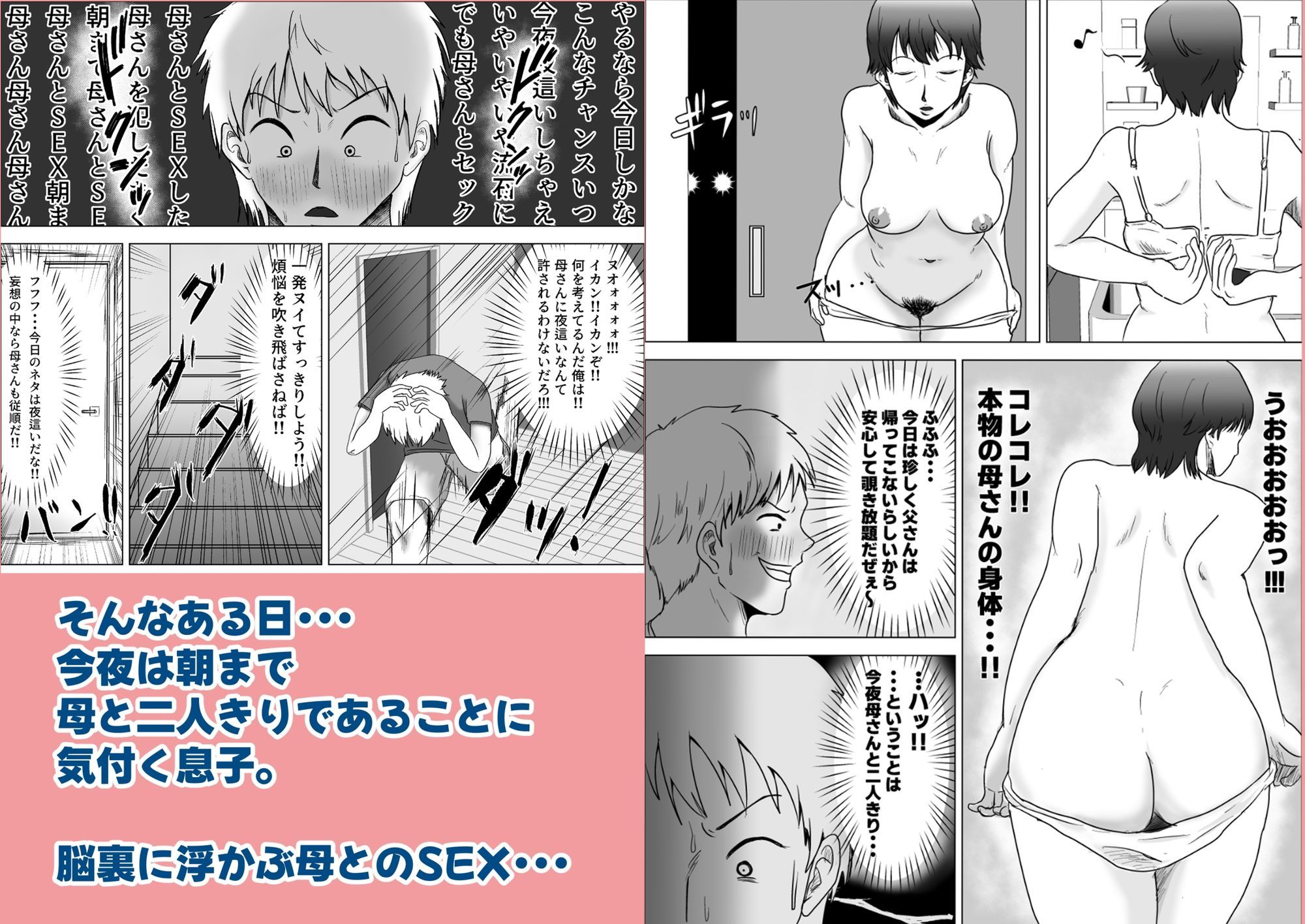 この母をどう●すか