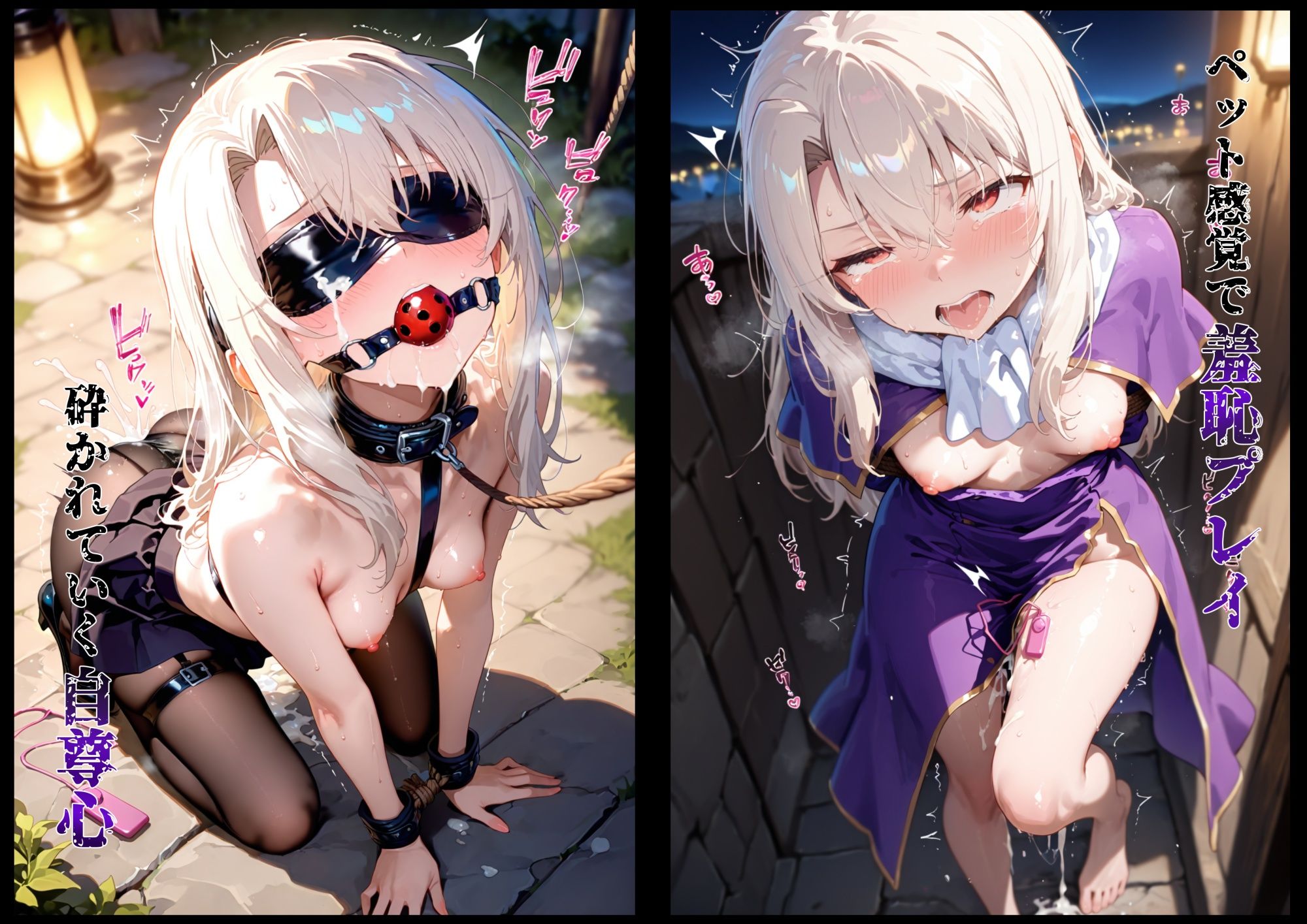 その女、蹂躙許可証発行済み -街の男たちに好き放題使われるヒロインCG集- イリヤ編