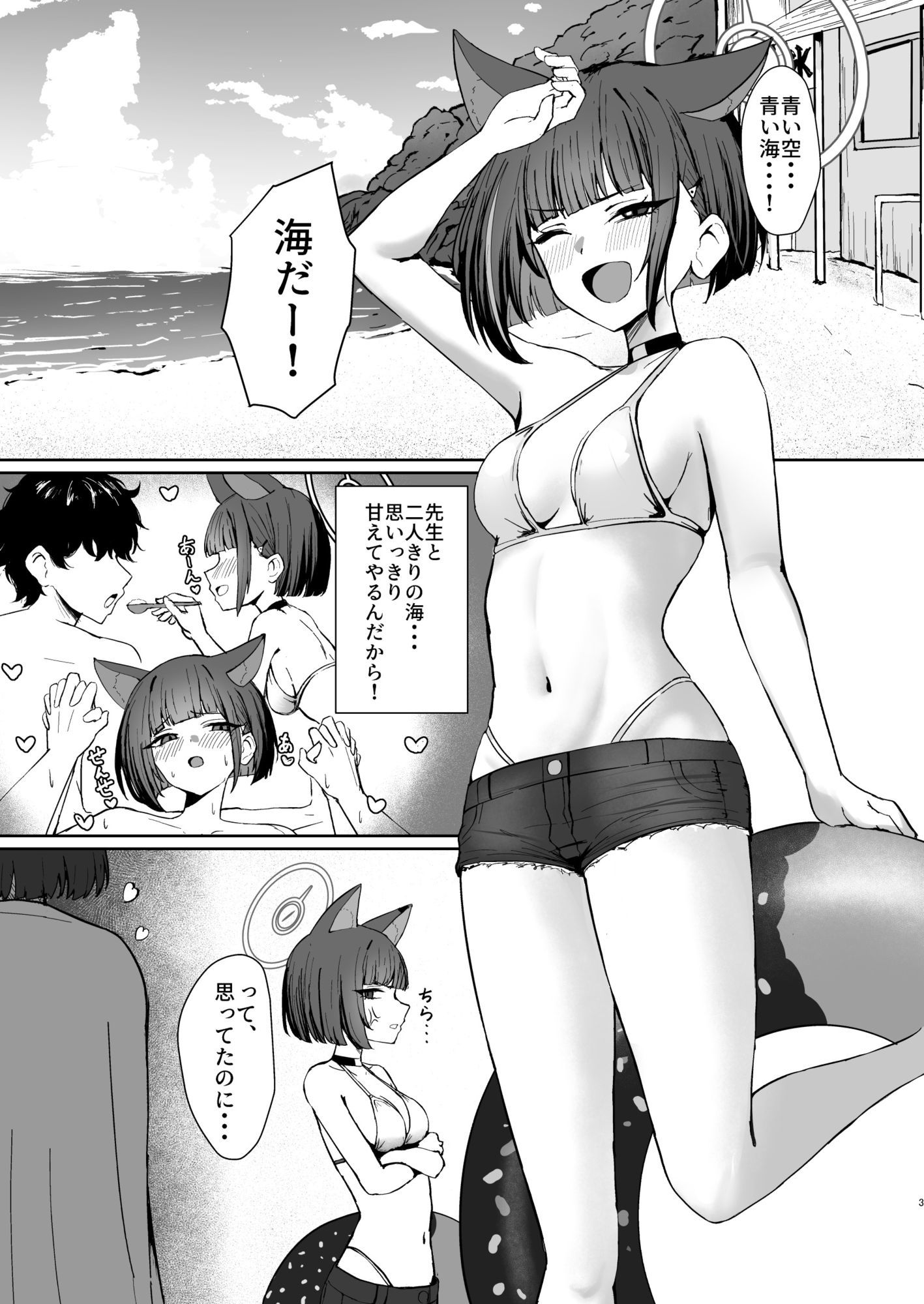 猫の海乱