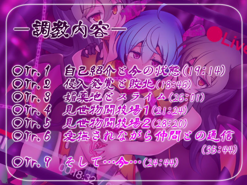 正義のヒロイン -クォルタ ヘリオディル- が完全敗北するまでの告白記録