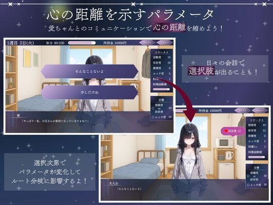 孤独少女との50日間