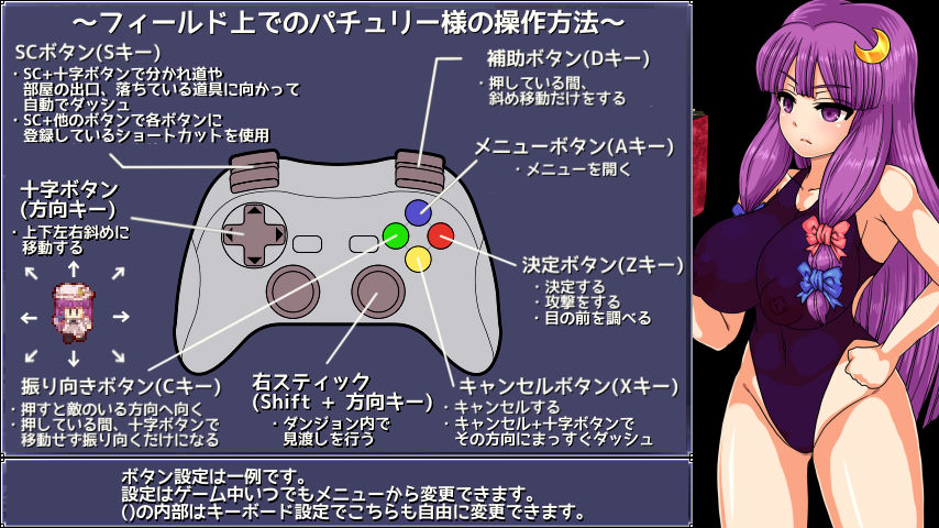 パチュリーと淫魔の魔本