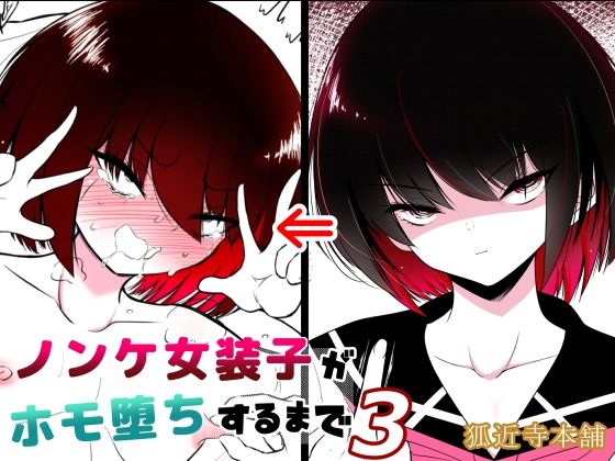 ノンケ女装子がホモ堕ちするまで・総集編