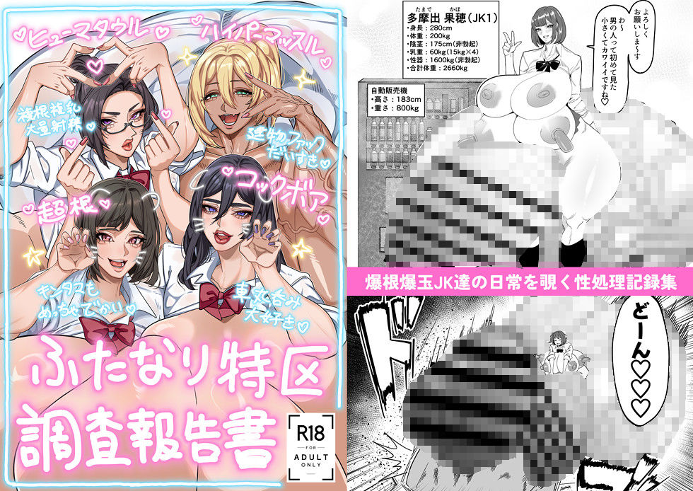 ふたなり特区調査報告書