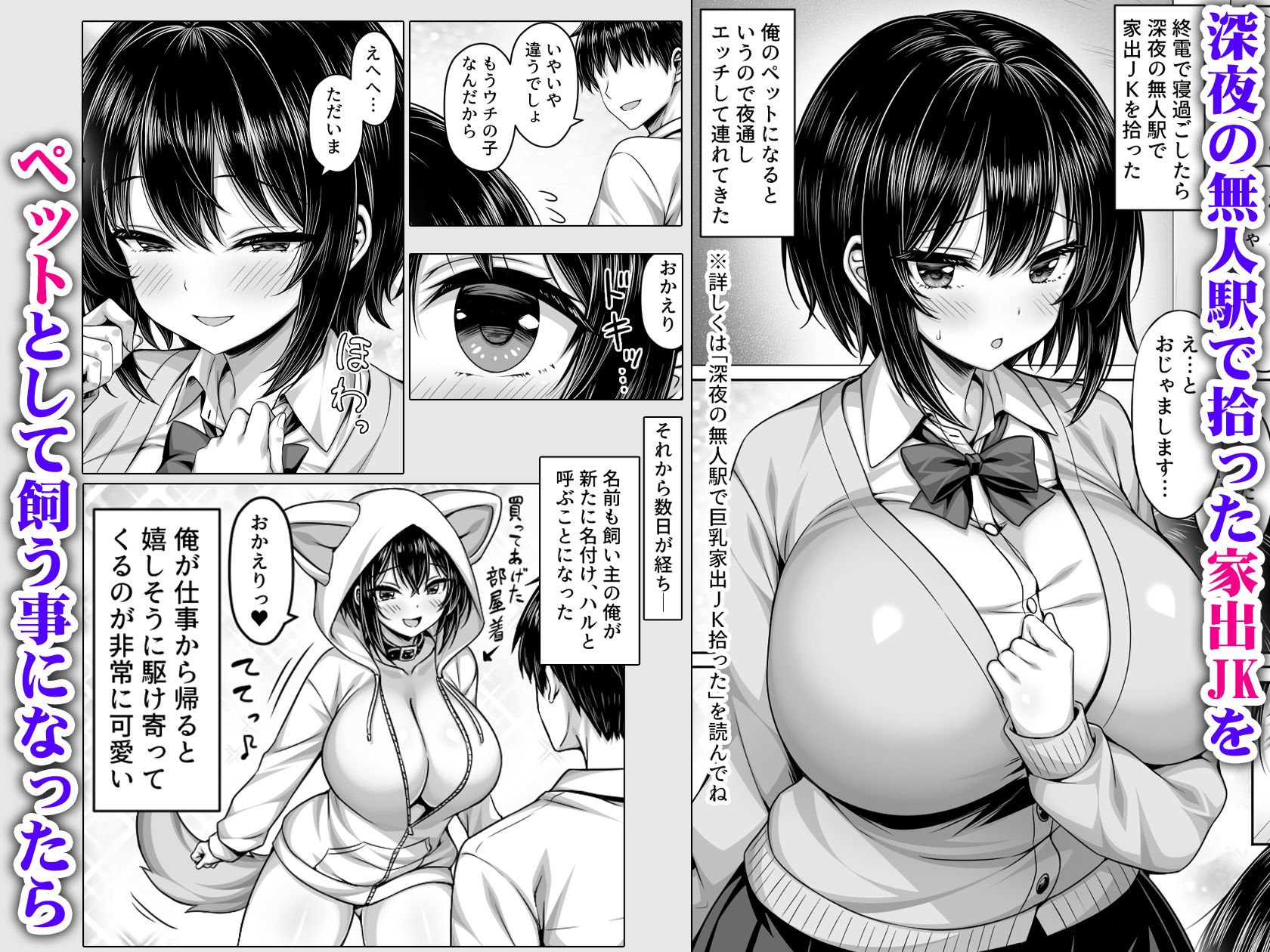 深夜の無人駅で拾った巨乳家出JKの飼い主の日常