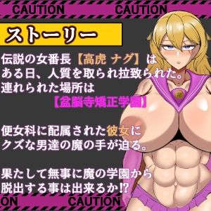 破壊の狂獣 高虎ナグ 盆脳寺矯正学園からの脱出
