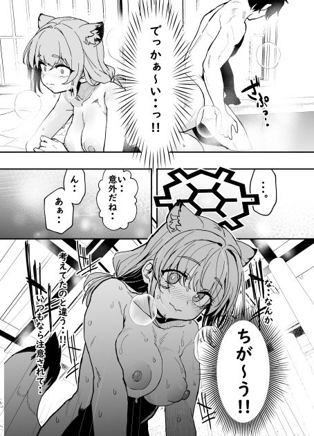 こたふる声を聞かせむ