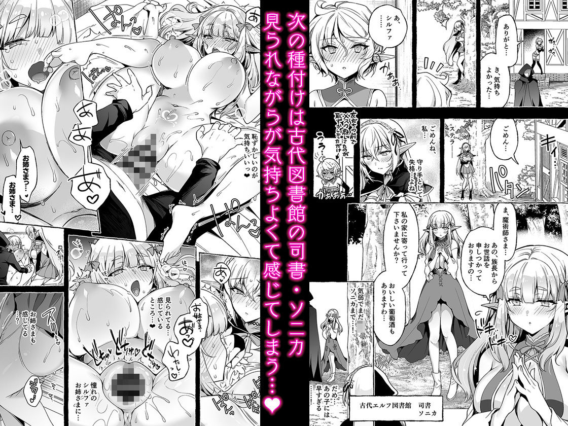 淫紋魔術師のエルフハーレム