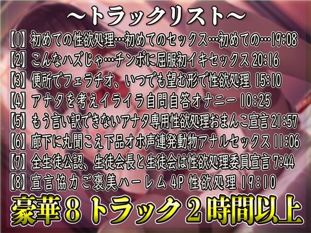 【半強●】生真面目生徒会長はあなた専用いいなり性欲処理委員〜生徒会も全員まとめて性欲処理委員宣言〜
