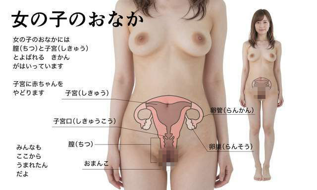 わたしたちのからだ〜こどもができるしくみ〜【実写風AIリメイク】