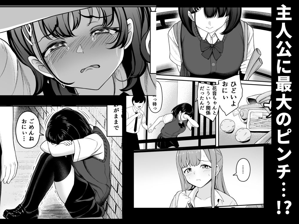 お家ハーレム！？  Sっ気の義妹とMっ気の幼馴染！