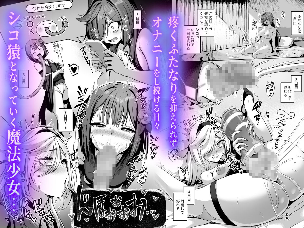 魔法少女セイントリリィ・男根 〜フタナリを生やされた魔法少女がチンポ狂いに堕ちるまで〜