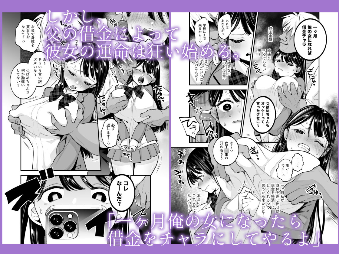 つばめちゃん墜落日記  〜一ヶ月奴●契約〜