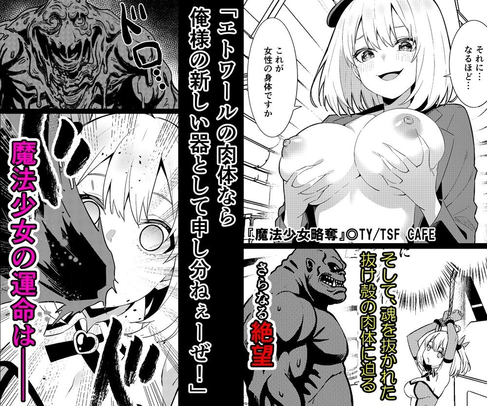 魔法少女略奪