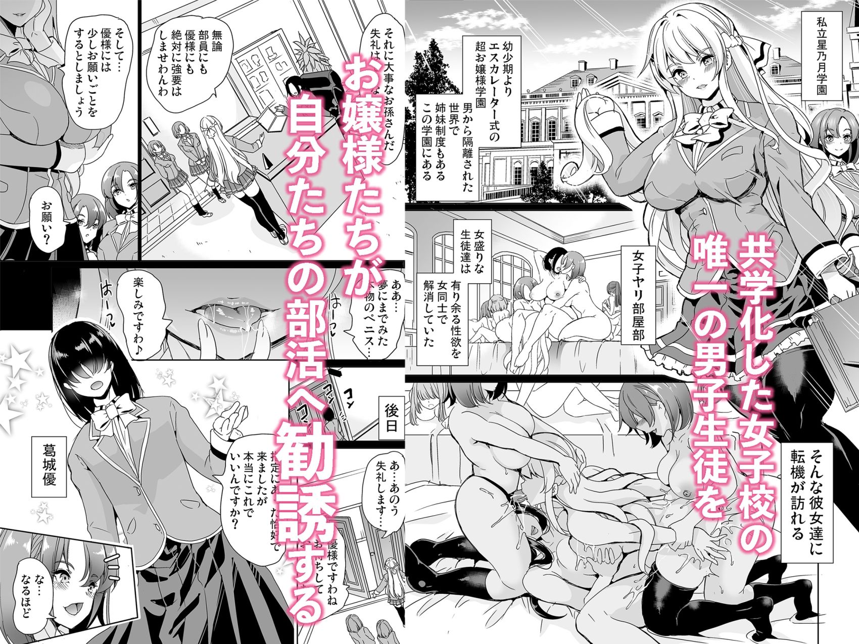 女子ヤリ部屋部の男根    〜痴女ハーレム〜  総集編