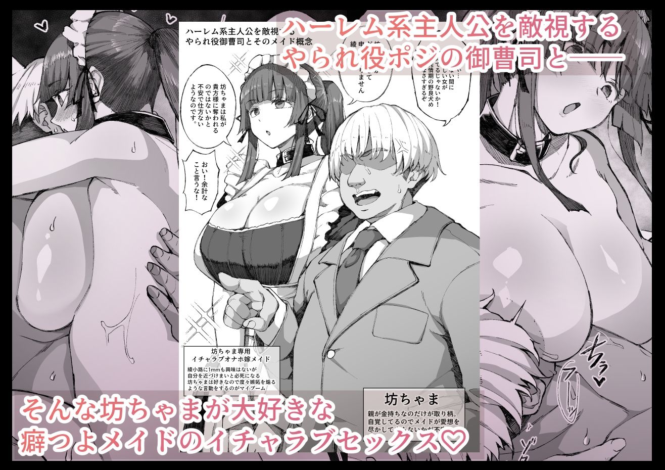 えっちなサナダくん総集編