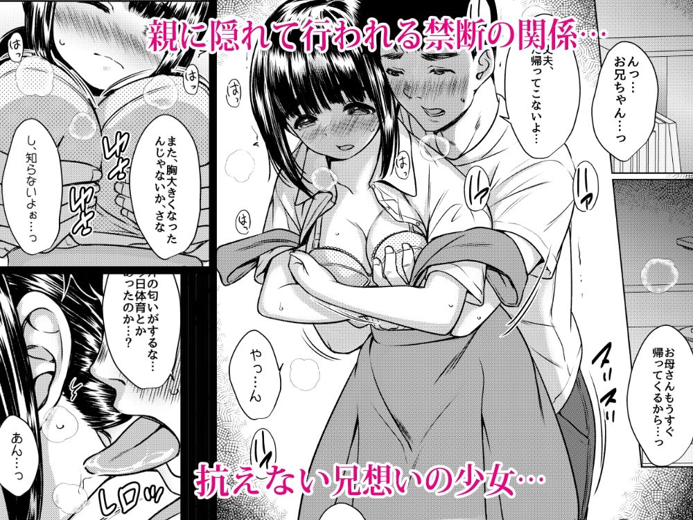 兄妹が終わる時  〜可愛く成長した妹に壊れた兄が手を出すまで〜