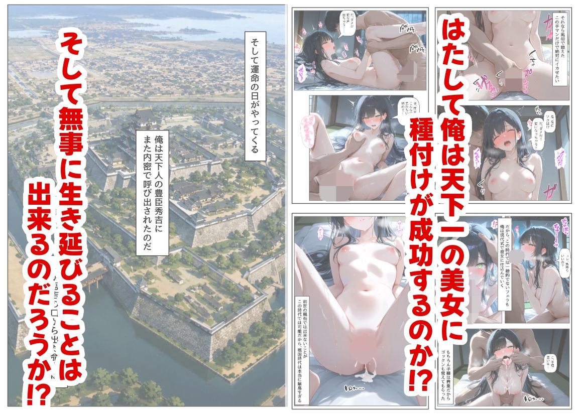 豊臣親戚！  〜秀吉の親戚に転生した〜