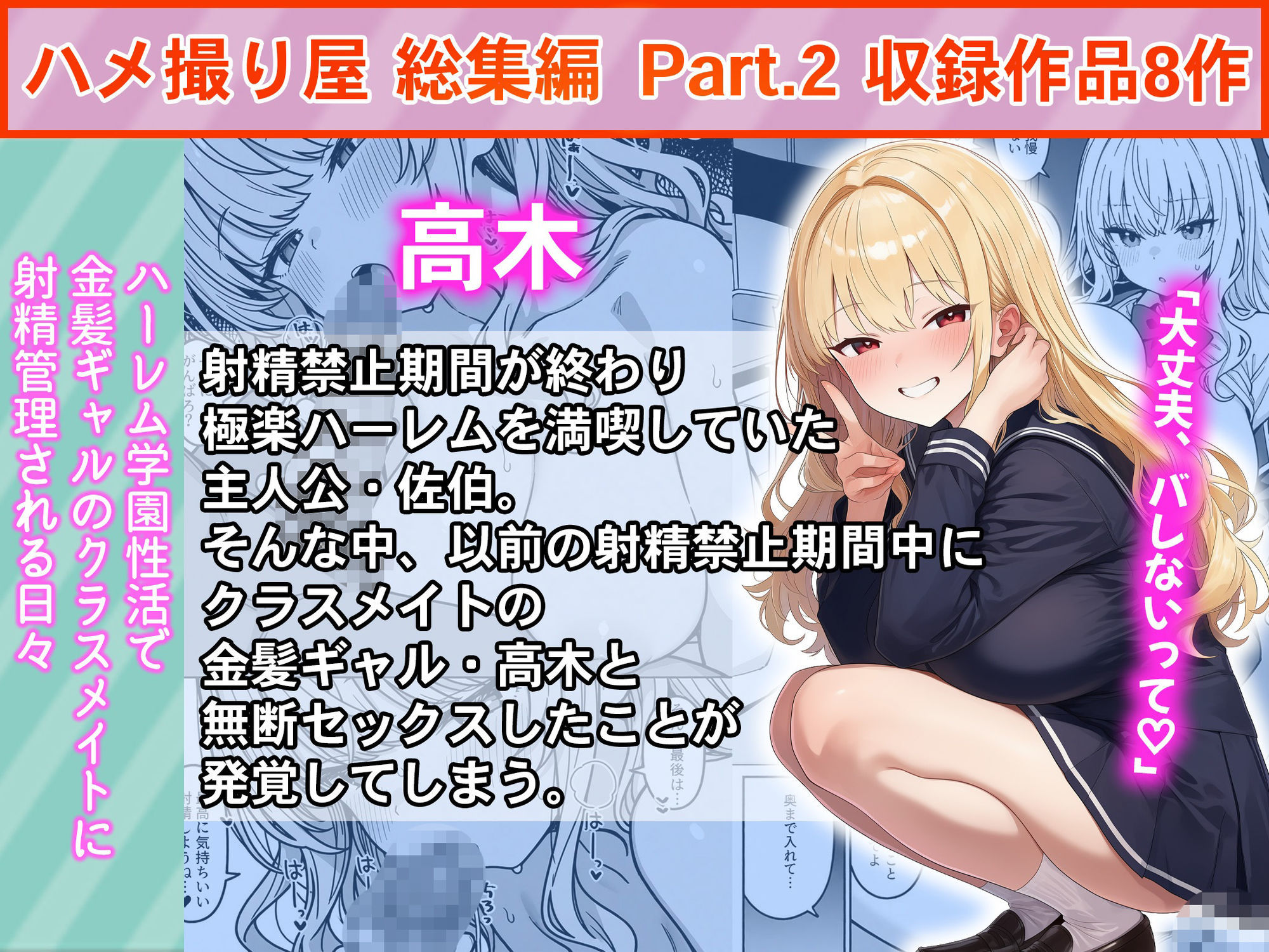 ハメ撮り屋  総集編2