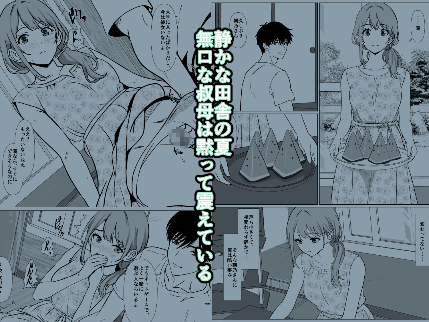 静かな夏 ― 無口な叔母