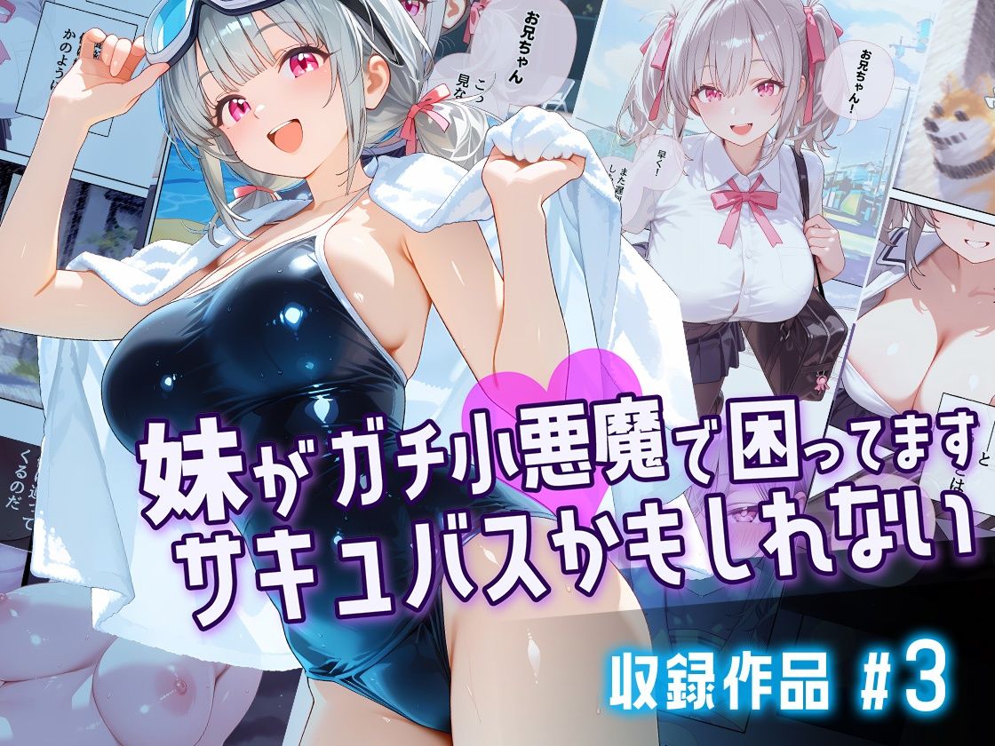 小悪魔かもしれない 総集編