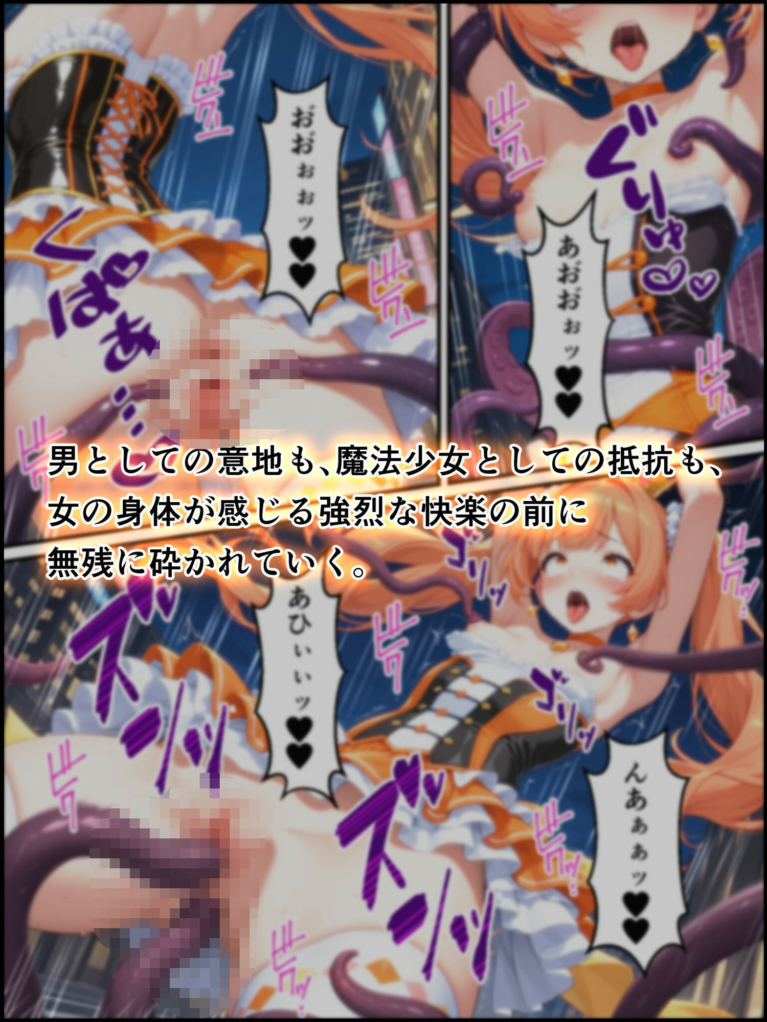 瞬光聖姫エトワール・アイリス 〜反転する真実と淫狂に堕ちる双星〜