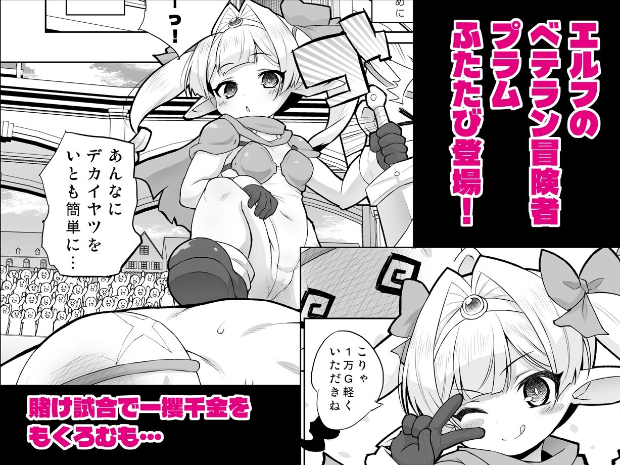 プラムのエッチな冒険II  上巻