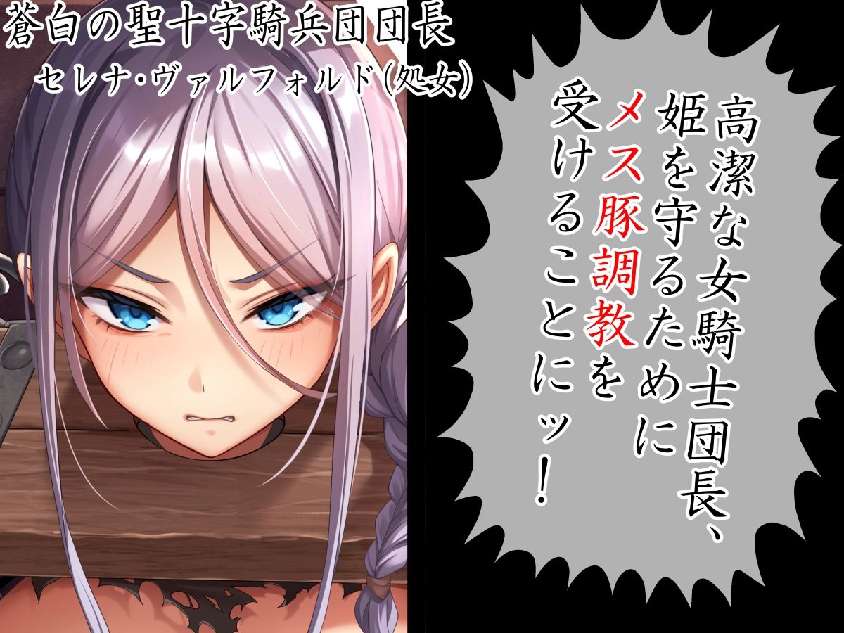 高潔女騎士団長、無様なる陥落！ 男前→メス豚化ッ！！