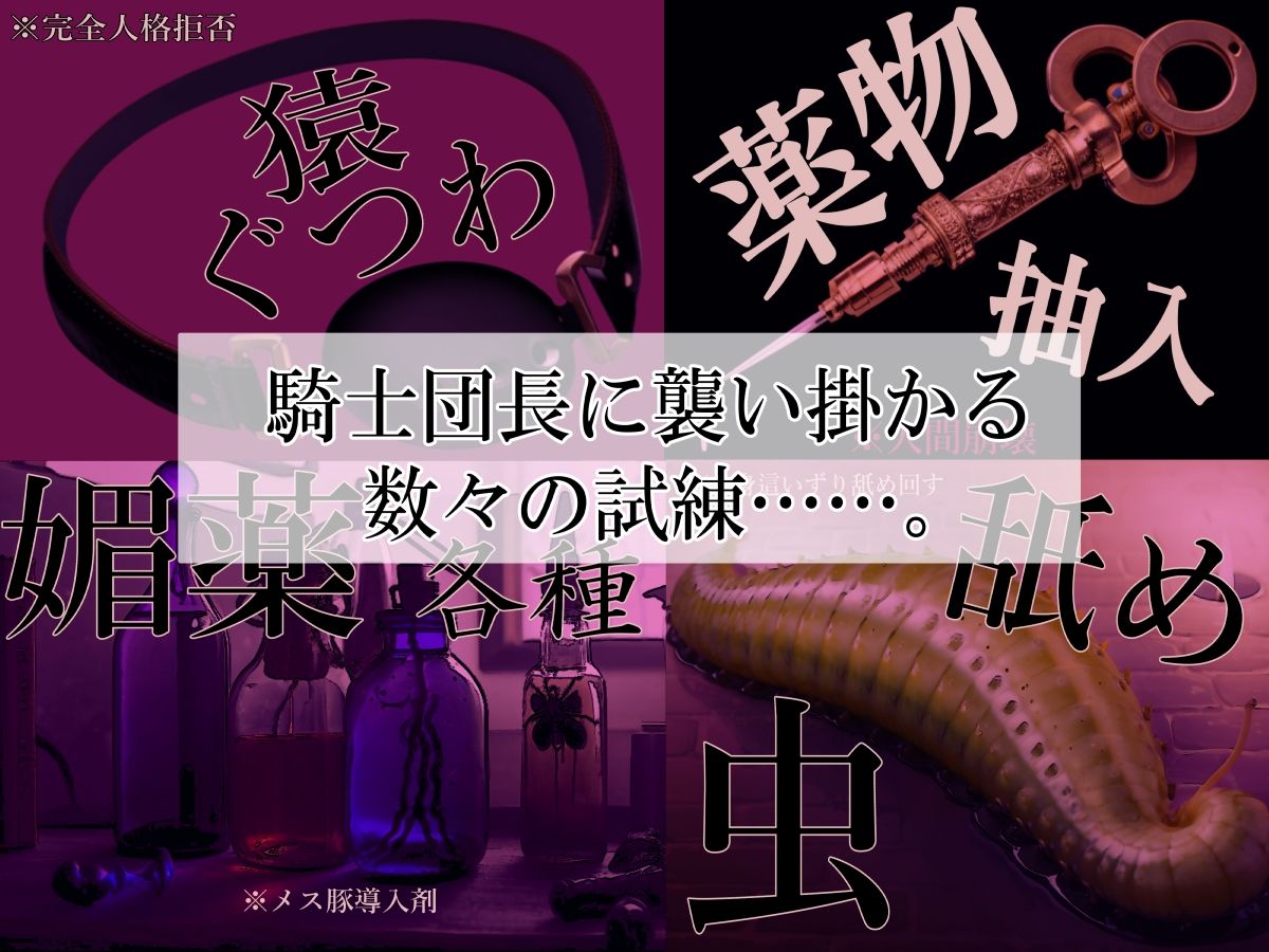 高潔女騎士団長、無様なる陥落！ 男前→メス豚化ッ！！
